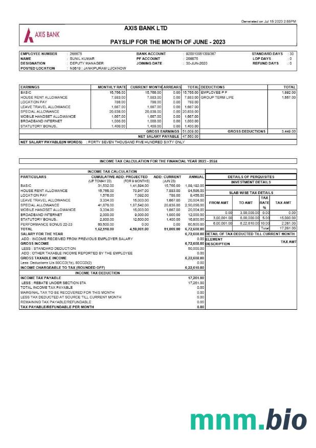 Szablon odcinka wypłaty Axis Bank w formatach Word i PDF